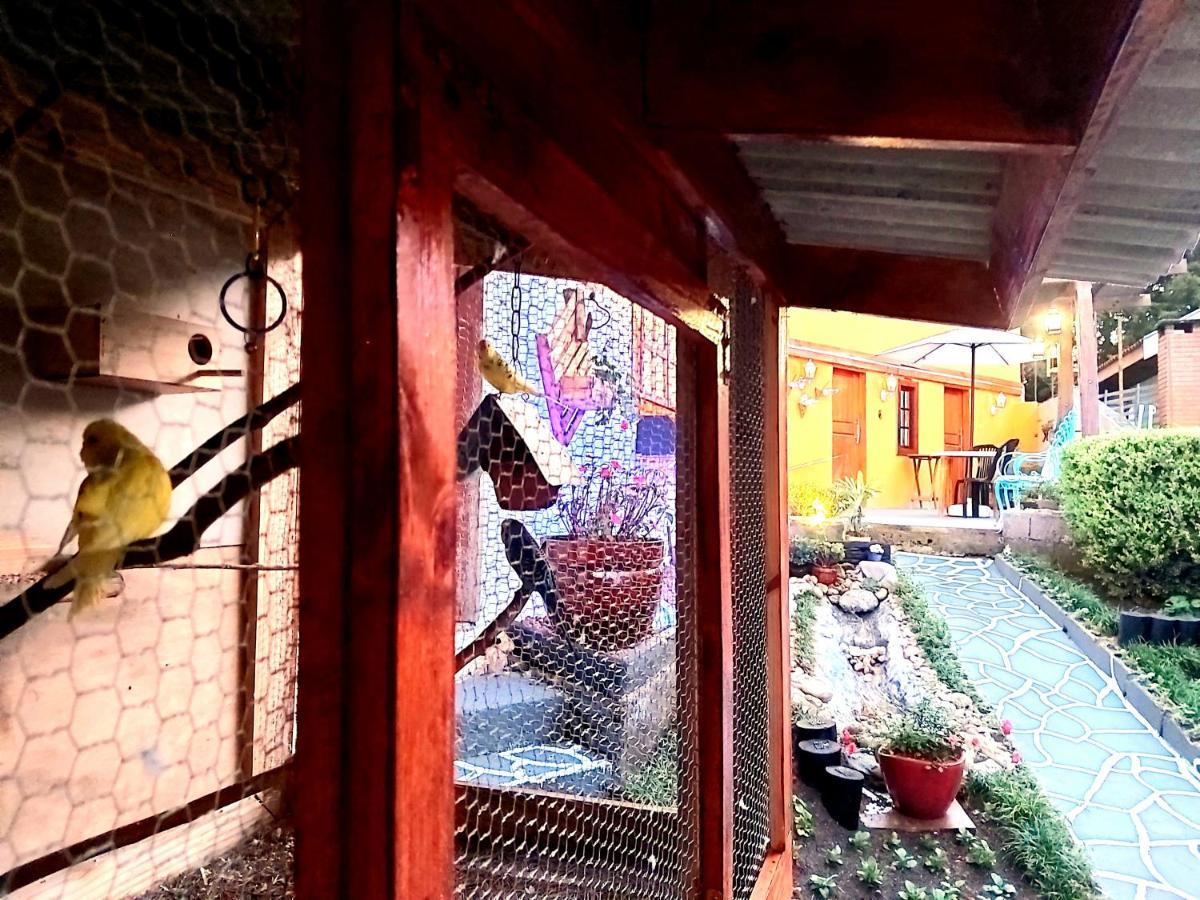 Recanto Das Cerejeiras Campos do Jordao Bagian luar foto